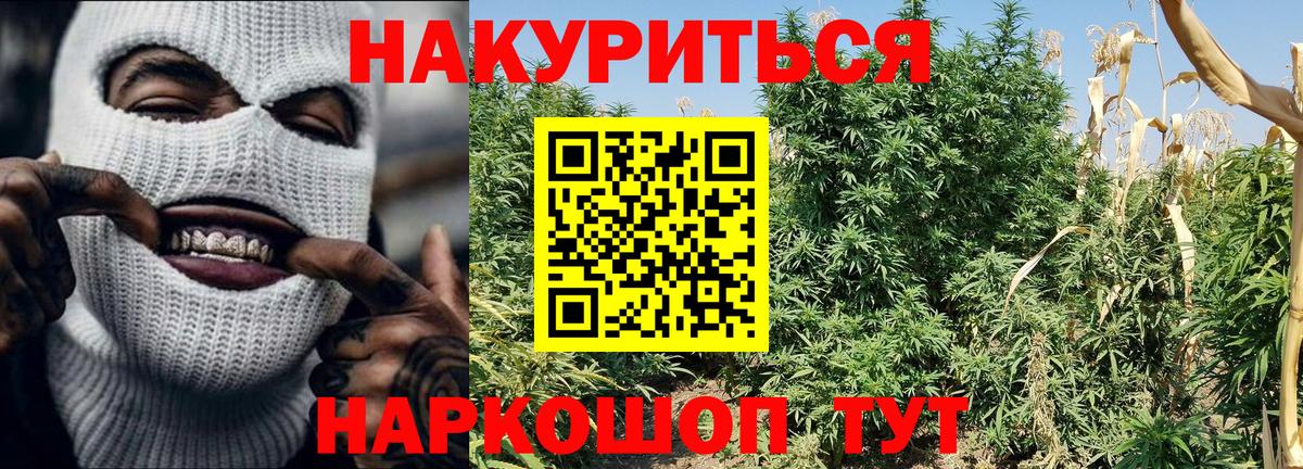 Бошки Шишки семена  Канабис конопля  Конопля ГИДРОПОН  Ялта  Вход с VPN 